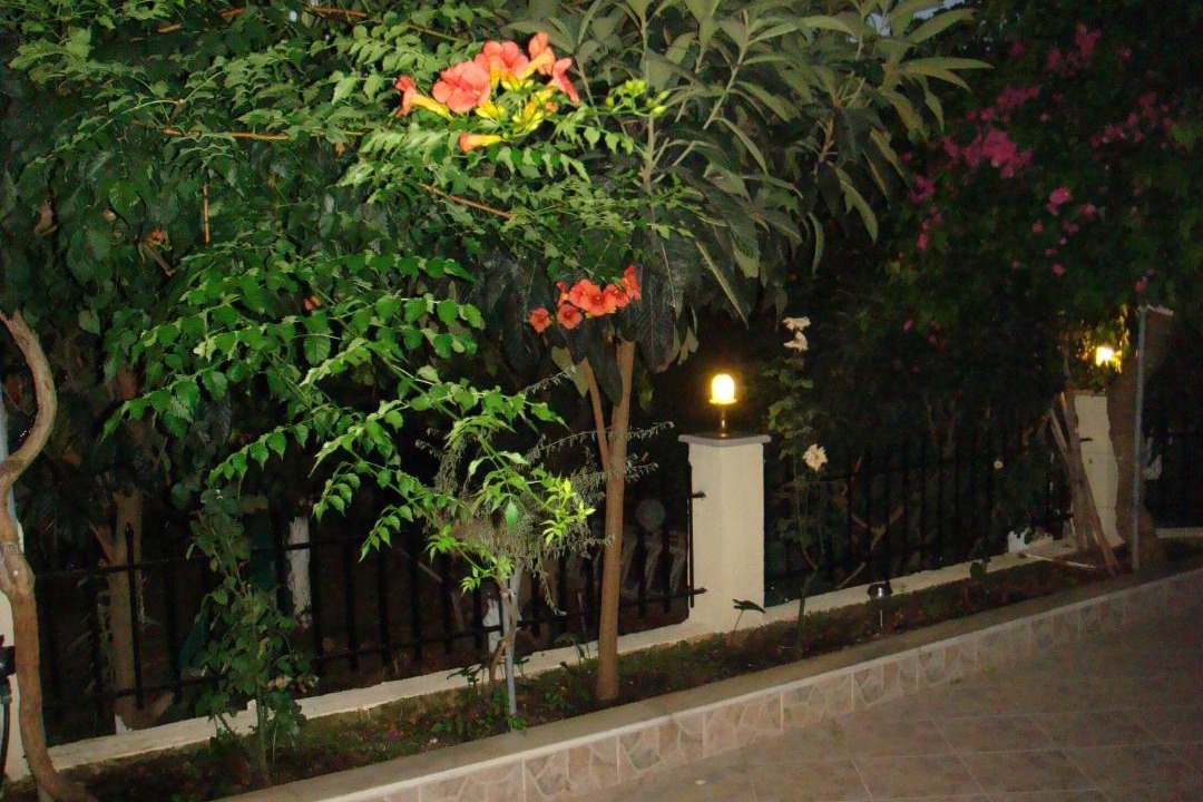 Photo of Others in Poros