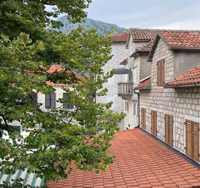 Photo of Buildings in Risan