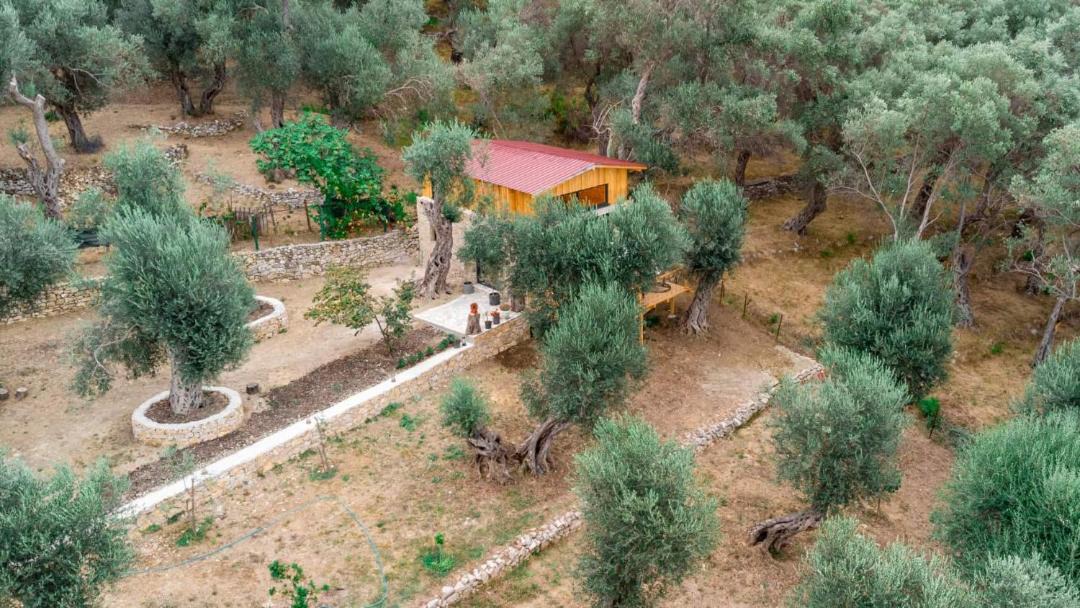 Photo of Outdoor in Ulcinj