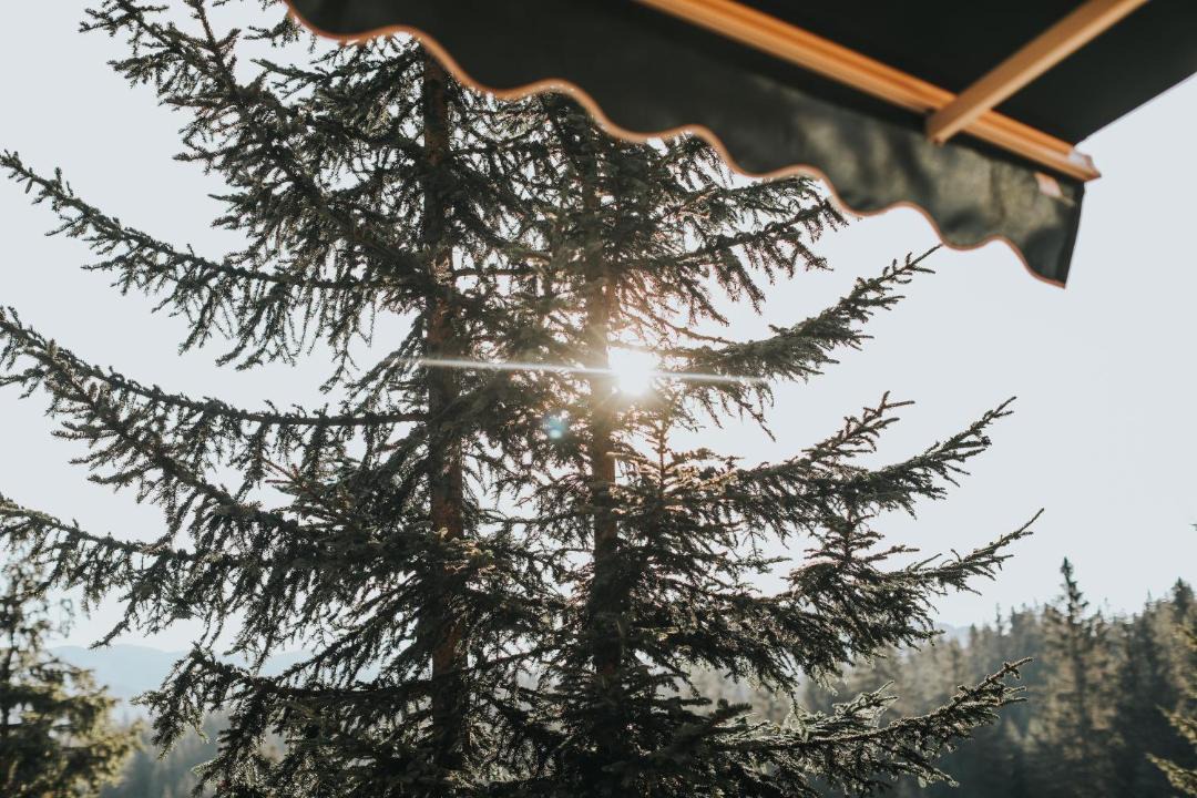 Photo of Others in Zabljak