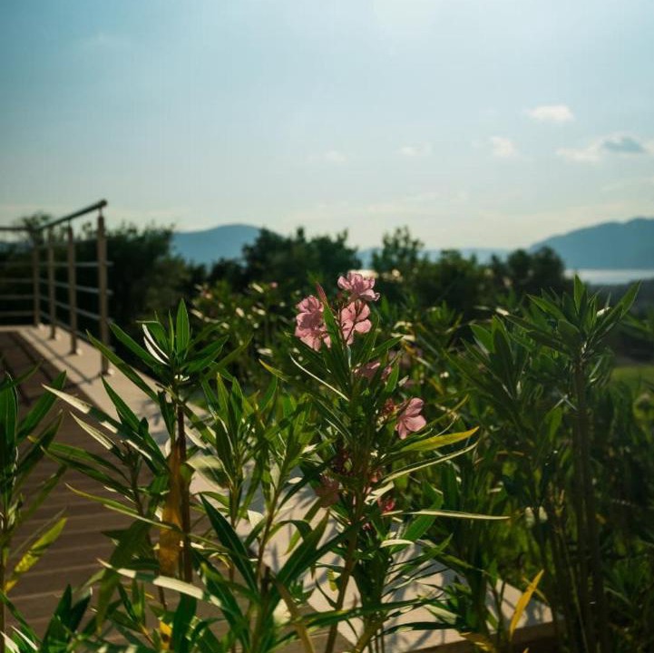 Photo of Outdoor in Kotor