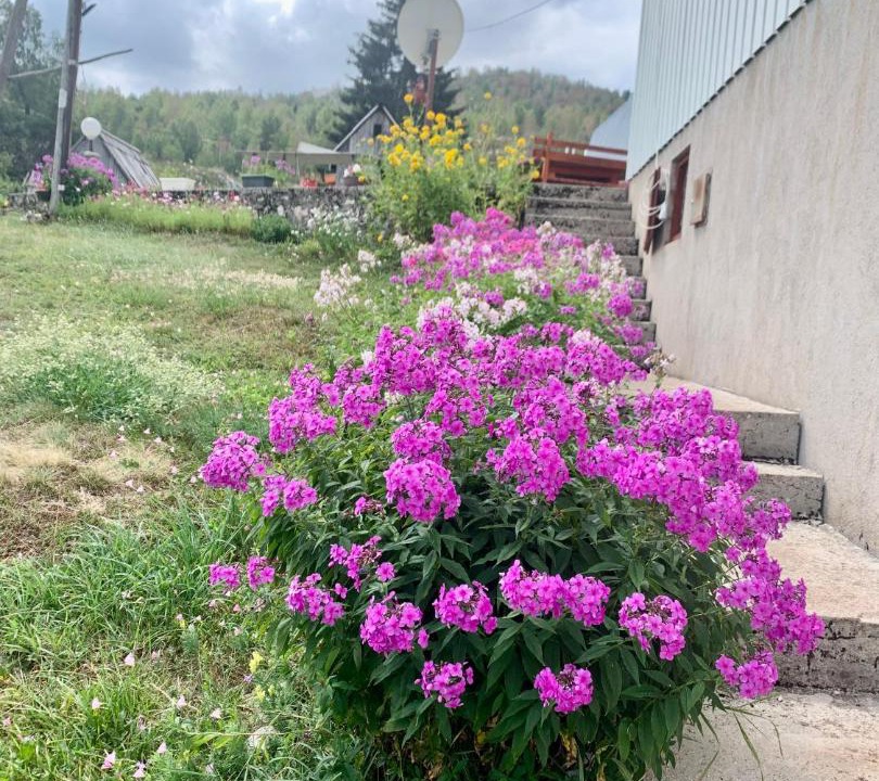 Photo of Outdoor in Tepacko Polje