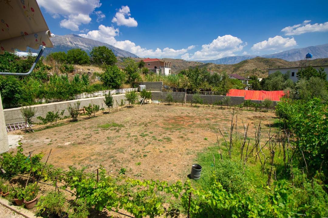 Photo of Others in Gjirokaster