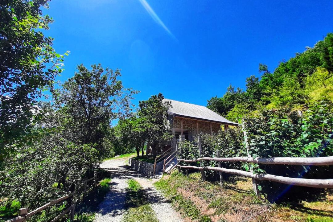 Photo of Others in Mojkovac
