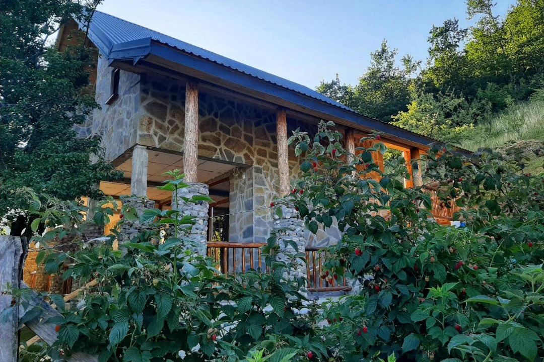 Photo of Buildings in Mojkovac