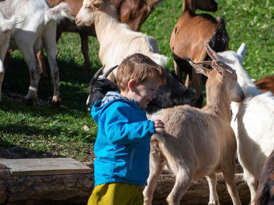 Photo of Others in Milosevici