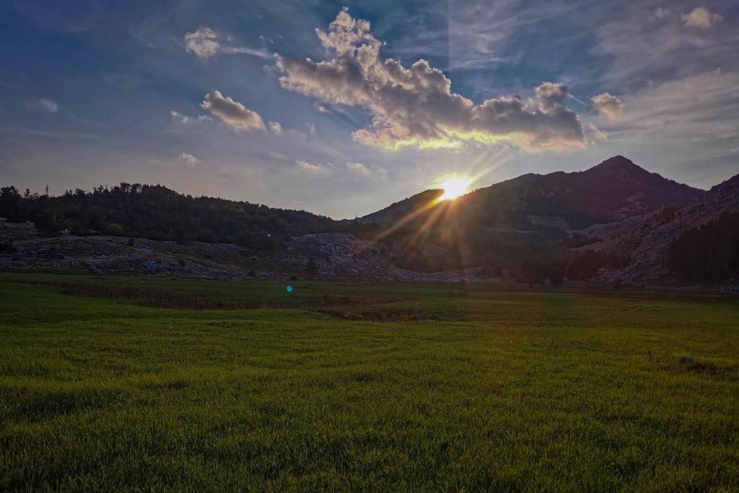 Photo of Others in Cetinje