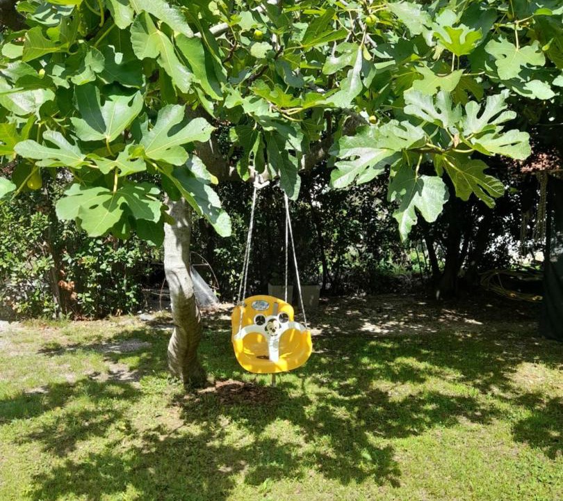 Photo of Outdoor in Risan