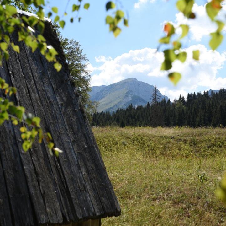 Photo of Others in Zabljak