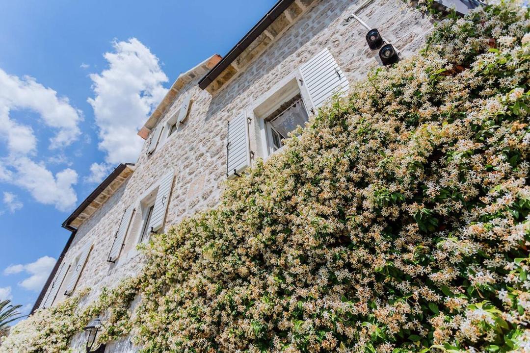 Photo of Buildings in Perast