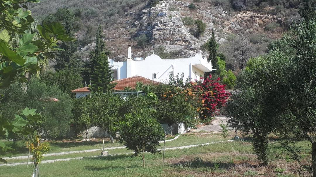 Photo of Others in Larissos