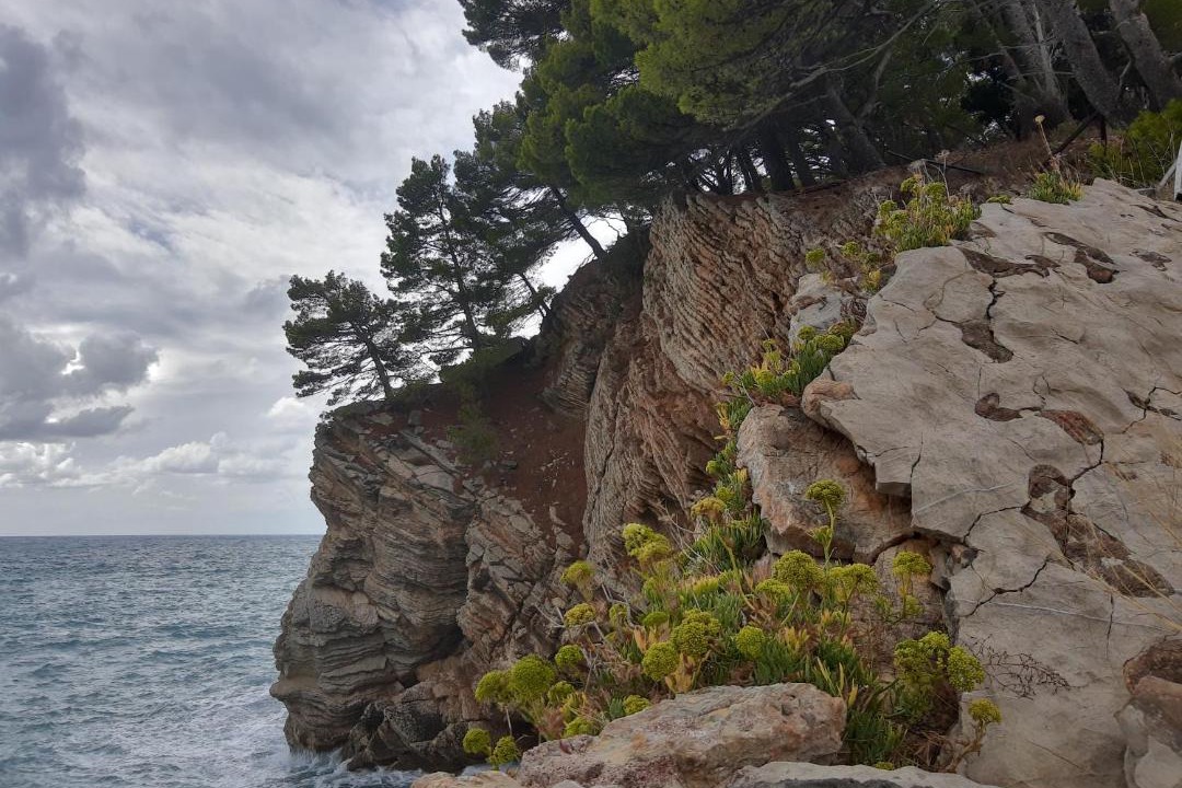 Photo of Others in Petrovac