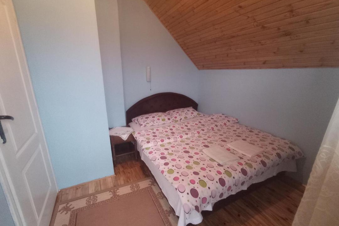 Photo of Others in Zabljak