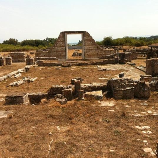 Photo of Others in Nikopolis