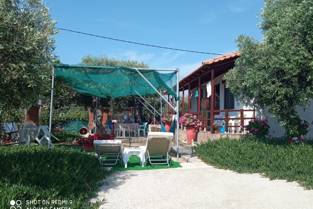 Photo of Others in Aliki