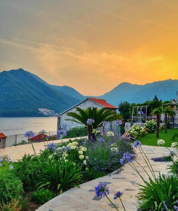Photo of Others in Perast