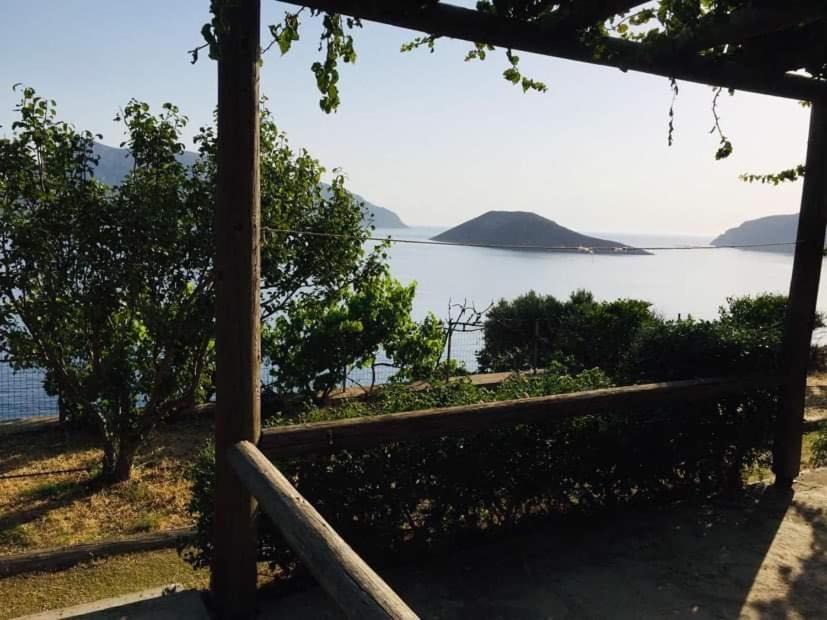 Photo of Others in Kalymnos