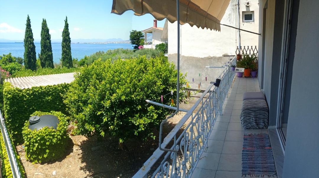 Photo of Others in Paralia Vergas
