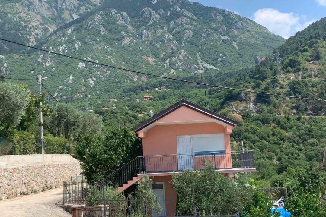 Photo of Others in Kotor