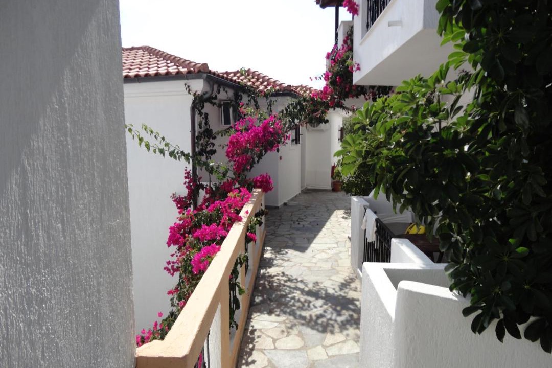 Photo of Others in Alonissos