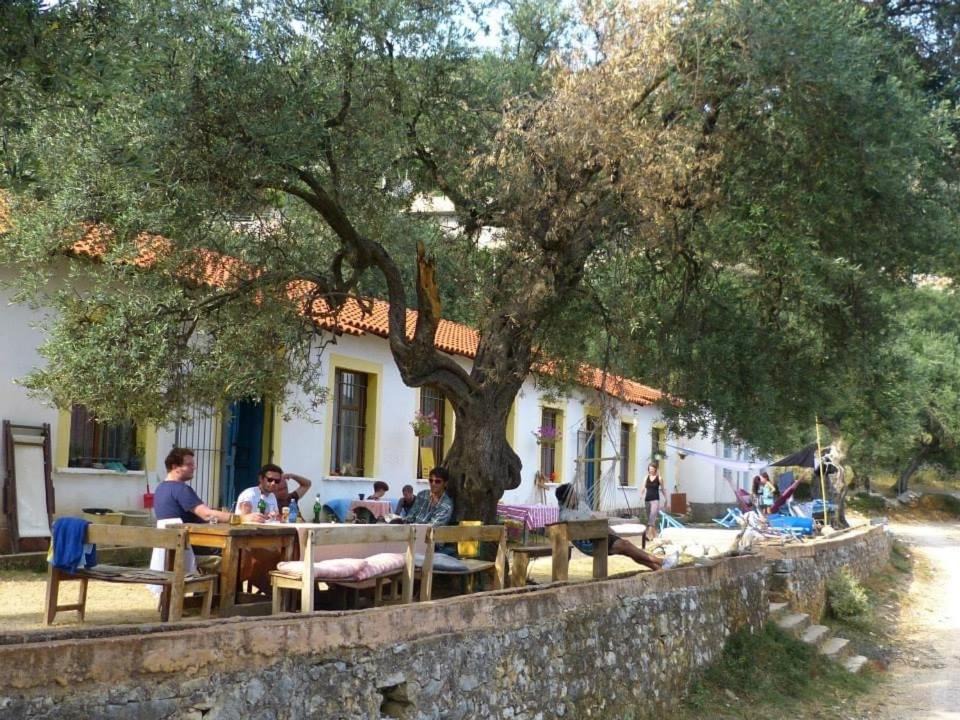 Photo of Others in Vuno