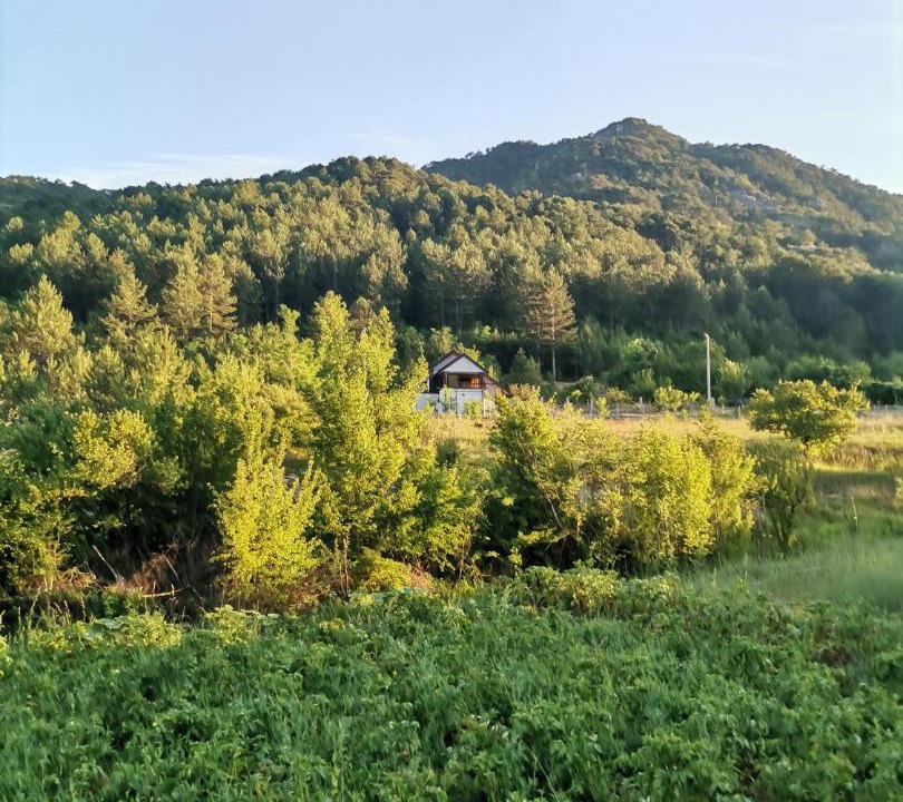 Photo of Others in Grahovo