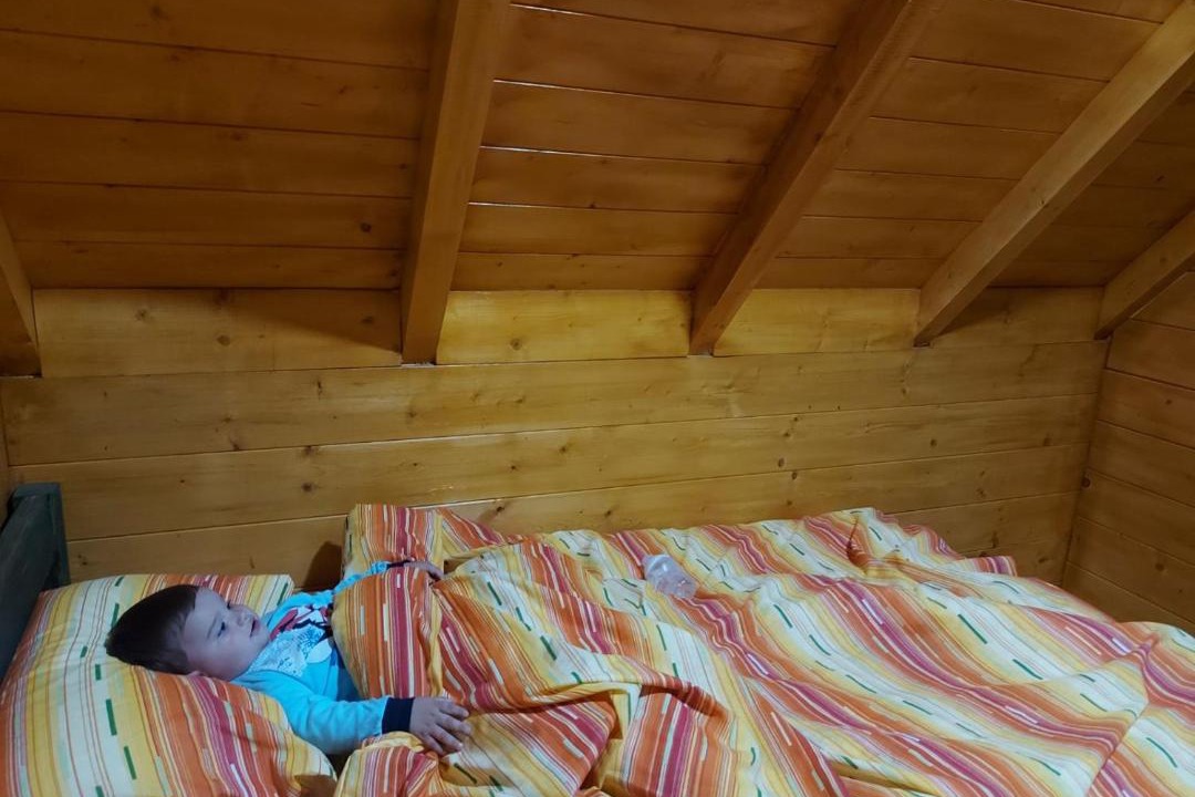 Photo of Others in Mojkovac