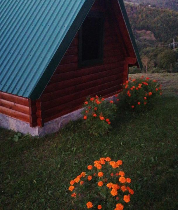 Photo of Others in Mojkovac