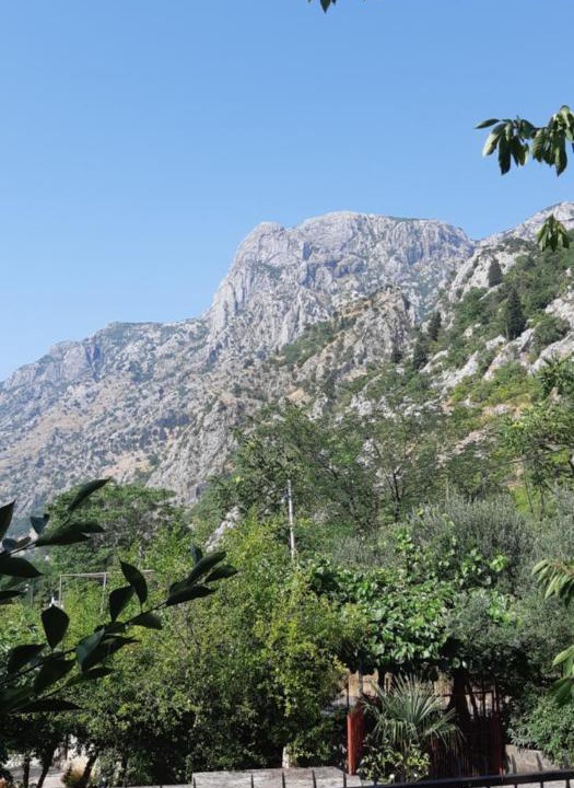 Photo of Outdoor in Skaljari