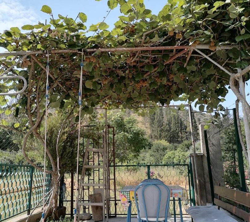 Photo of Others in Sutomore