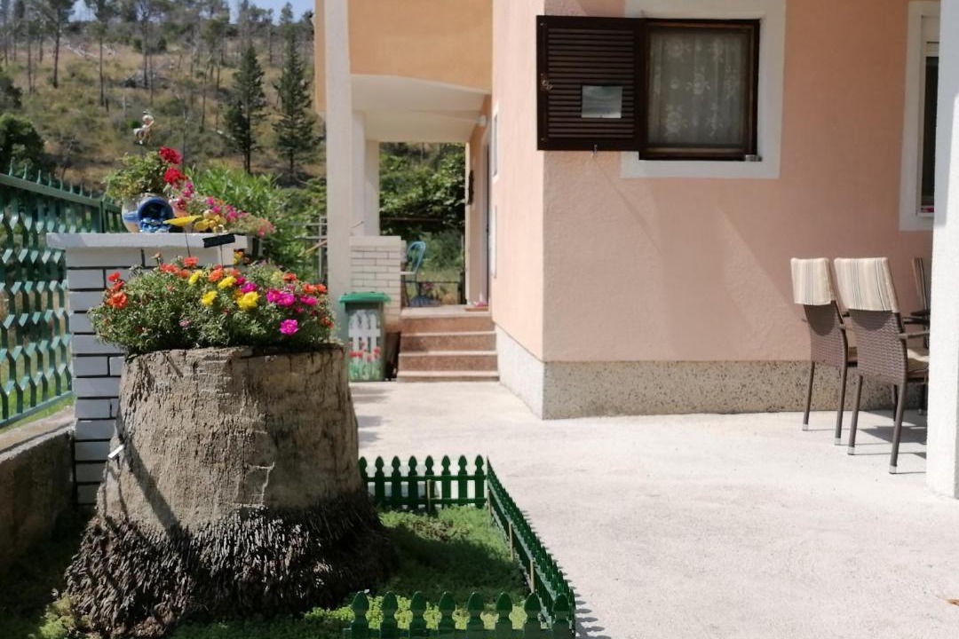 Photo of Others in Sutomore
