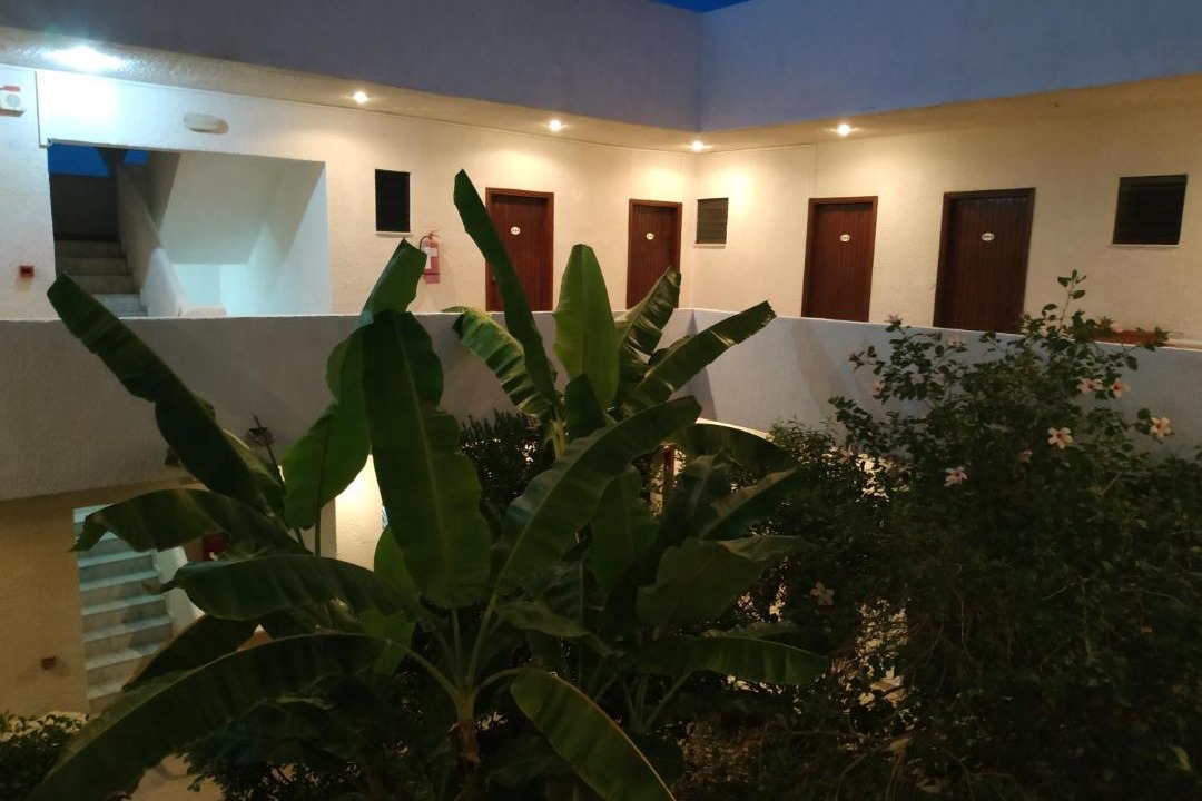 Photo of Others in Archangelos