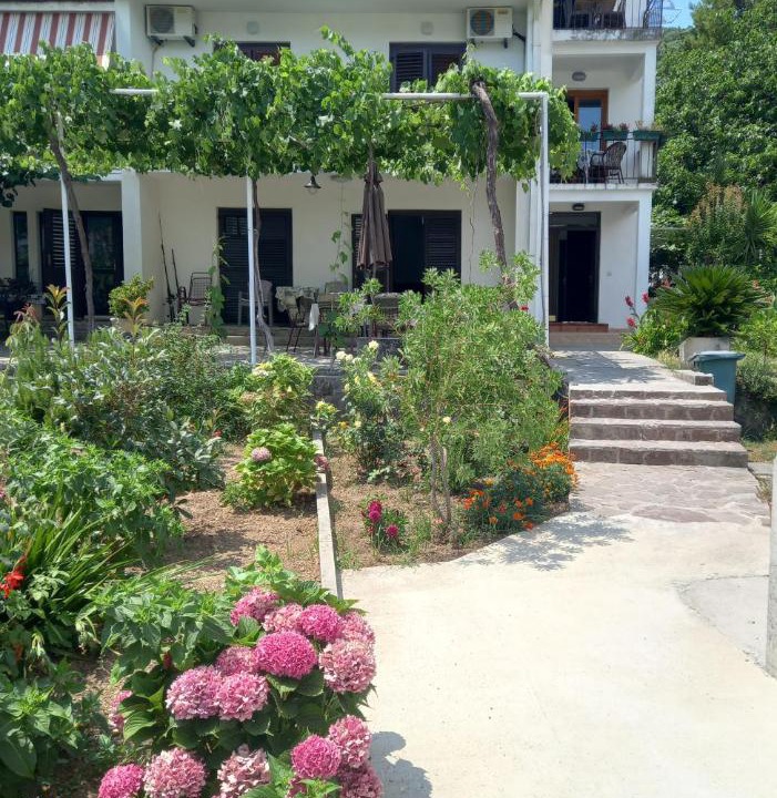 Photo of Others in Babin do