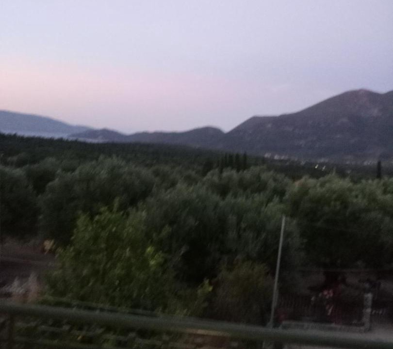 Photo of Others in Poulata
