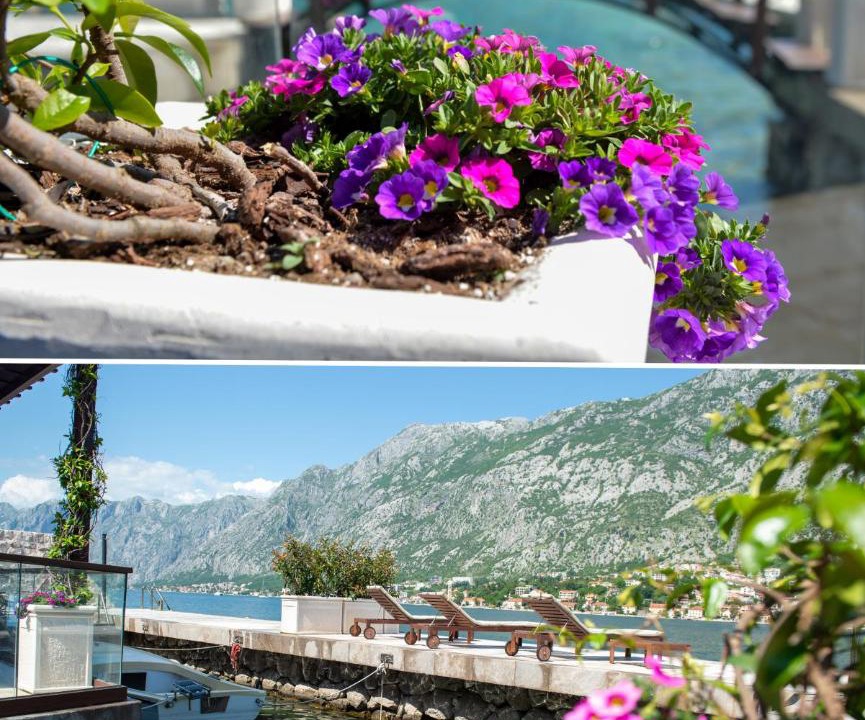 Photo of Others in Kotor
