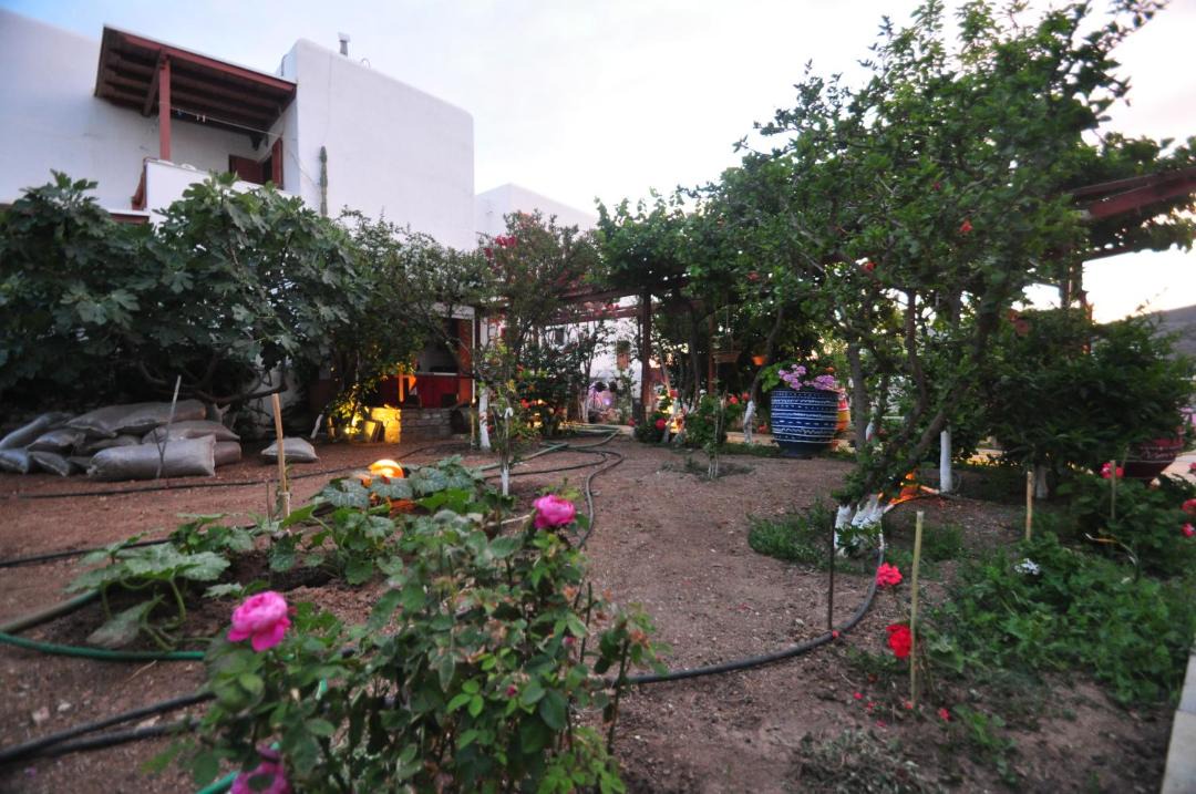 Photo of Buildings in Ios Town