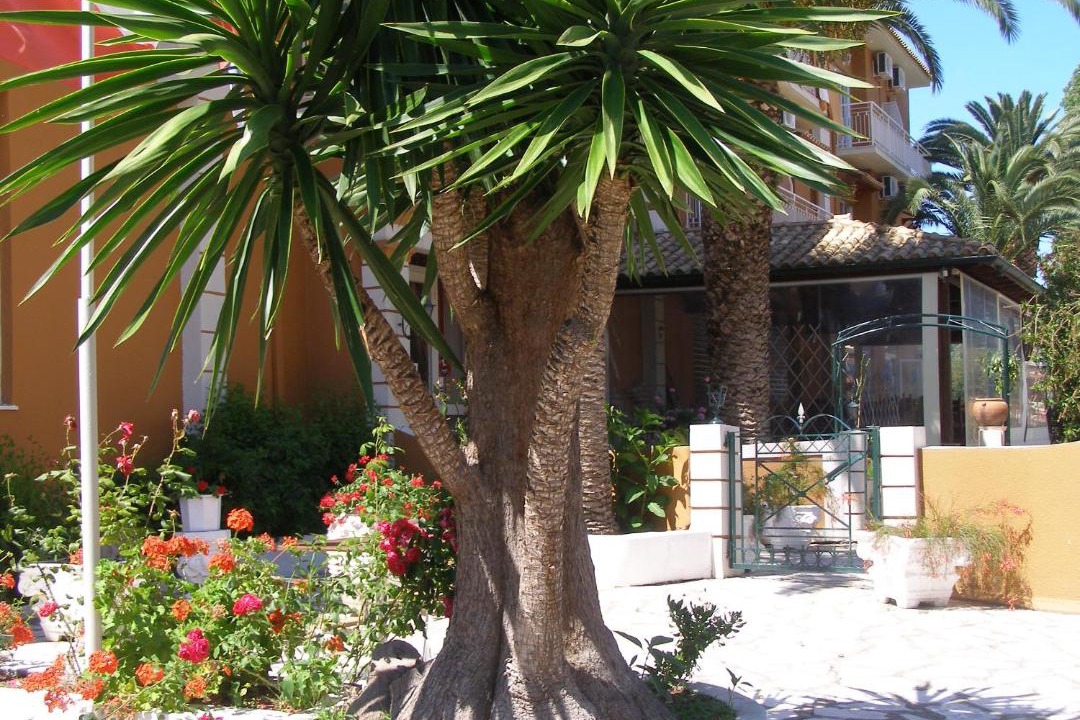 Photo of Others in Messonghi