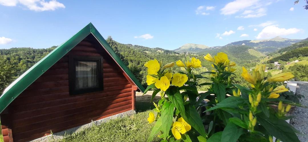 Photo of Others in Mojkovac