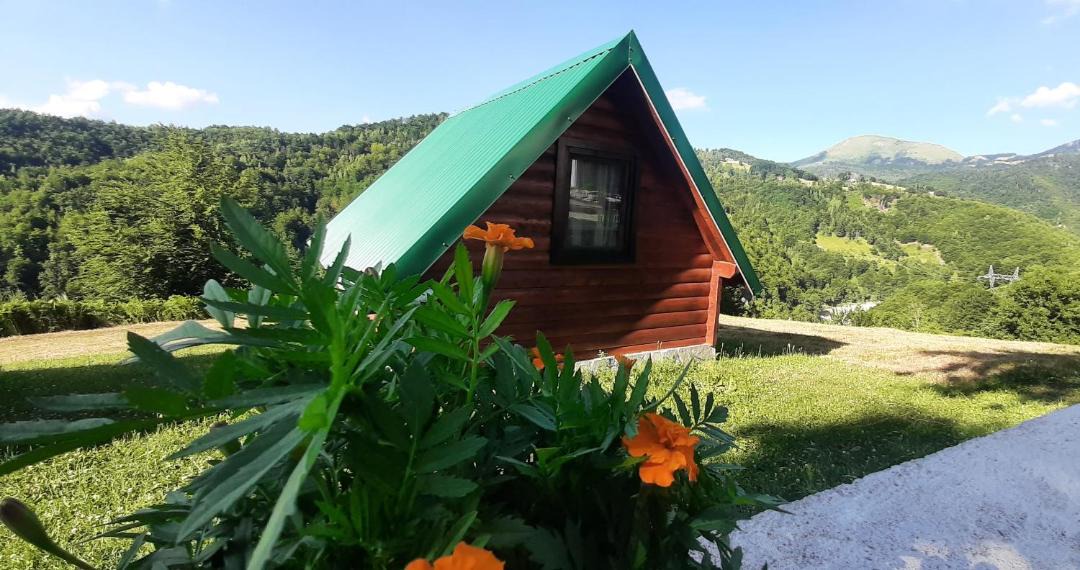 Photo of Others in Mojkovac