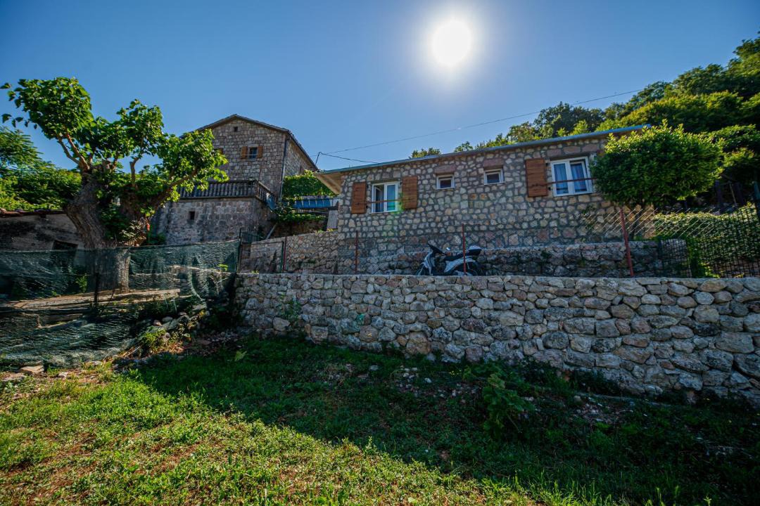 Photo of Others in Boljevici