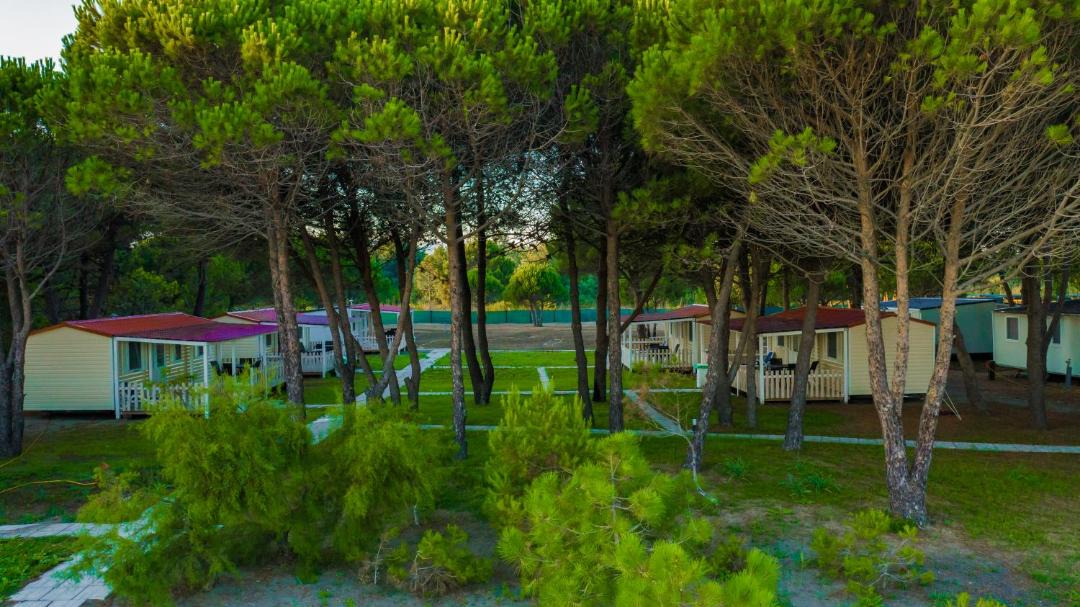 Photo of Others in Ulcinj
