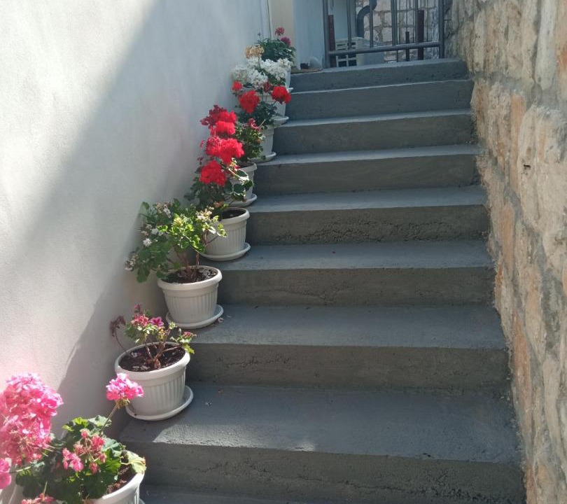 Photo of Others in Perast