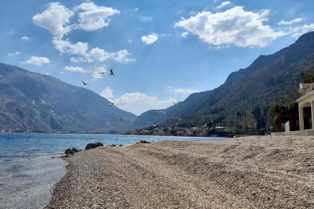 Photo of Others in Kotor