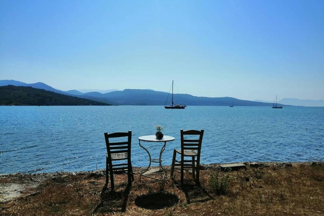 Photo of Others in Lygia
