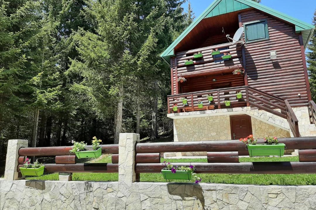 Photo of Others in Zabljak