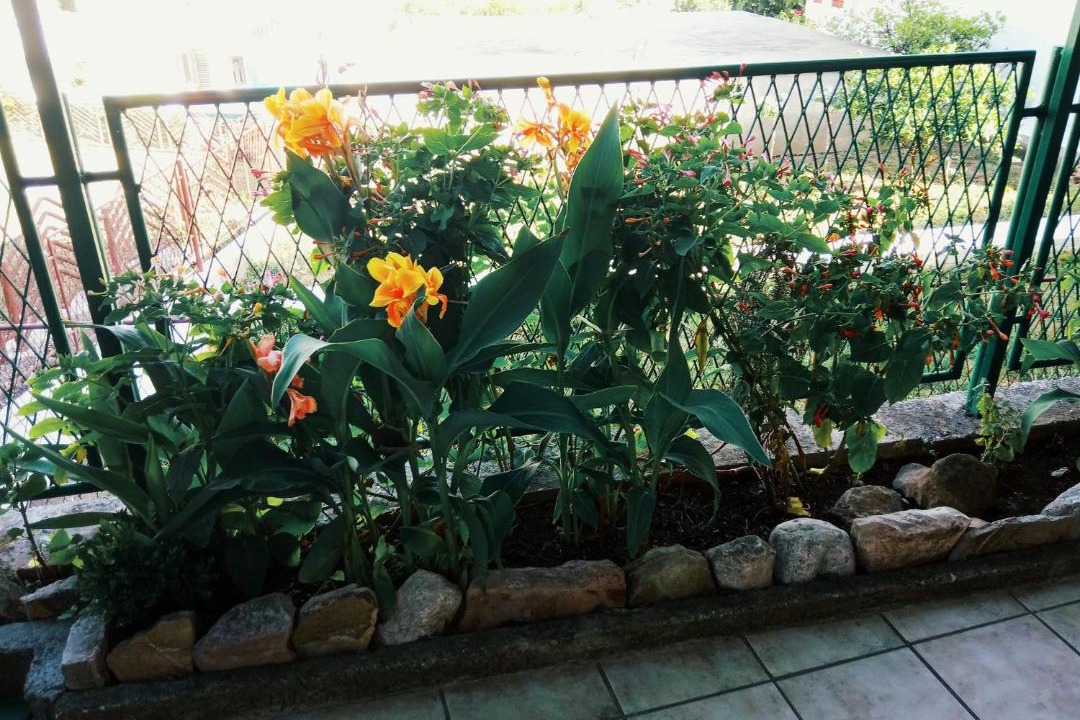 Photo of Others in Bijela