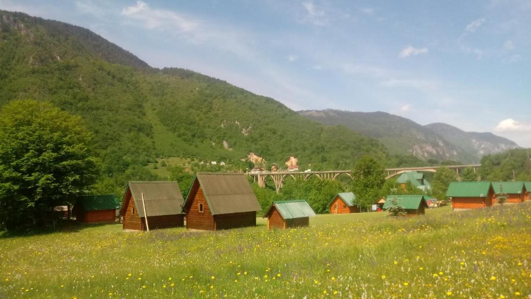 Photo of Others in Montenegro