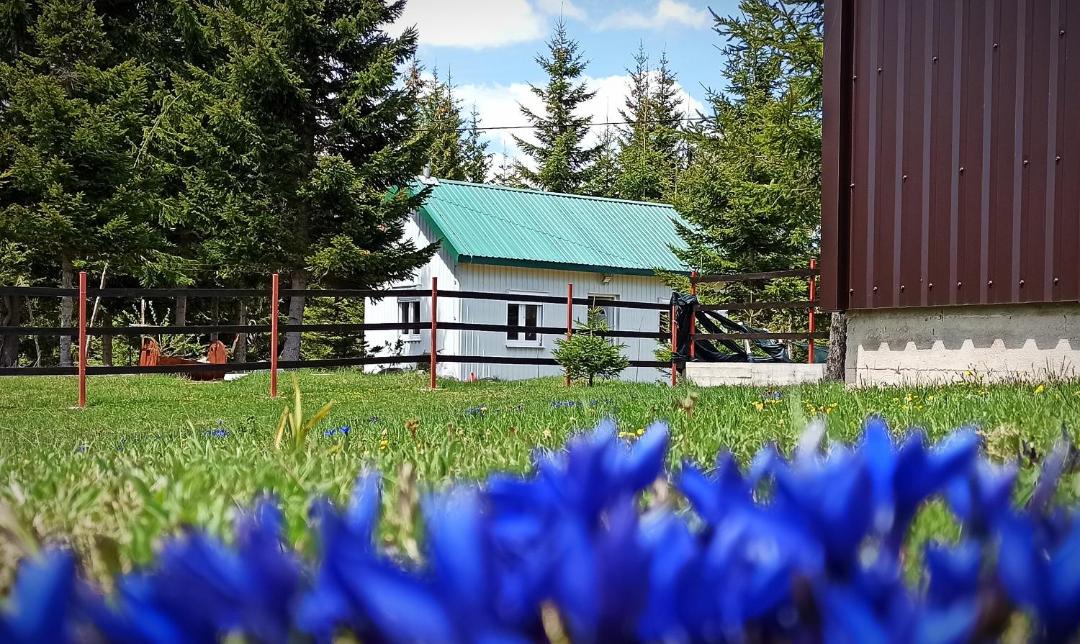 Photo of Others in Zabljak