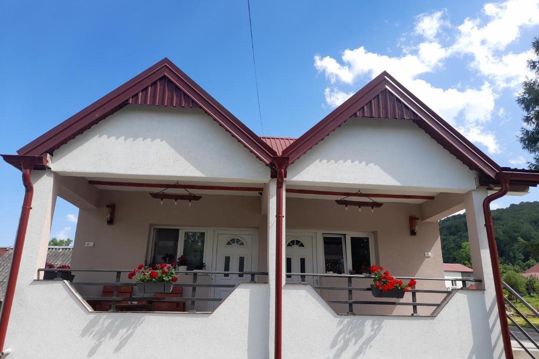 Photo of Others in Mojkovac