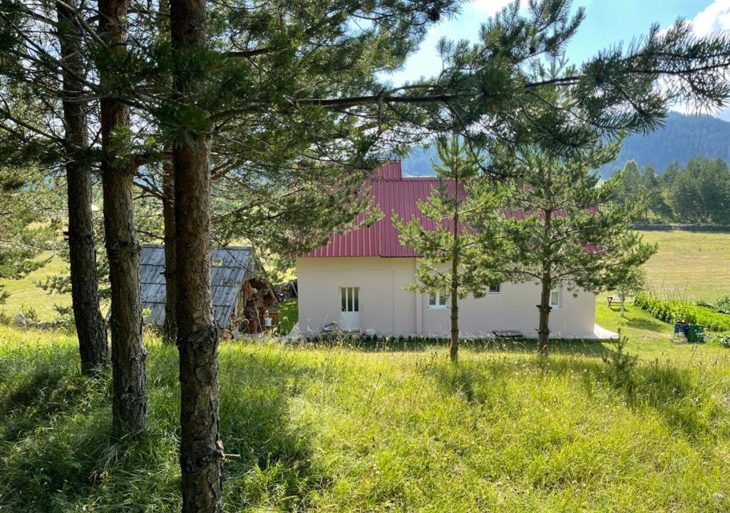 Photo of Others in Njegovuđa